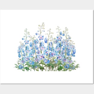 blue and purple larkspur field watercolor Posters and Art